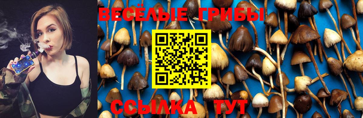 Галлюциногенные грибы Psilocybine cubensis  Вход с VPN  Асино  Галлюциногенные грибы ЛСД 